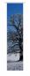 Preview: , Schiebevorhang, Schiebegardine, modern, 60 cm breit, 2,65 m hoch, 3 m hoch